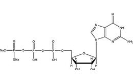 guanosine- 5' triphosphate disodium salt